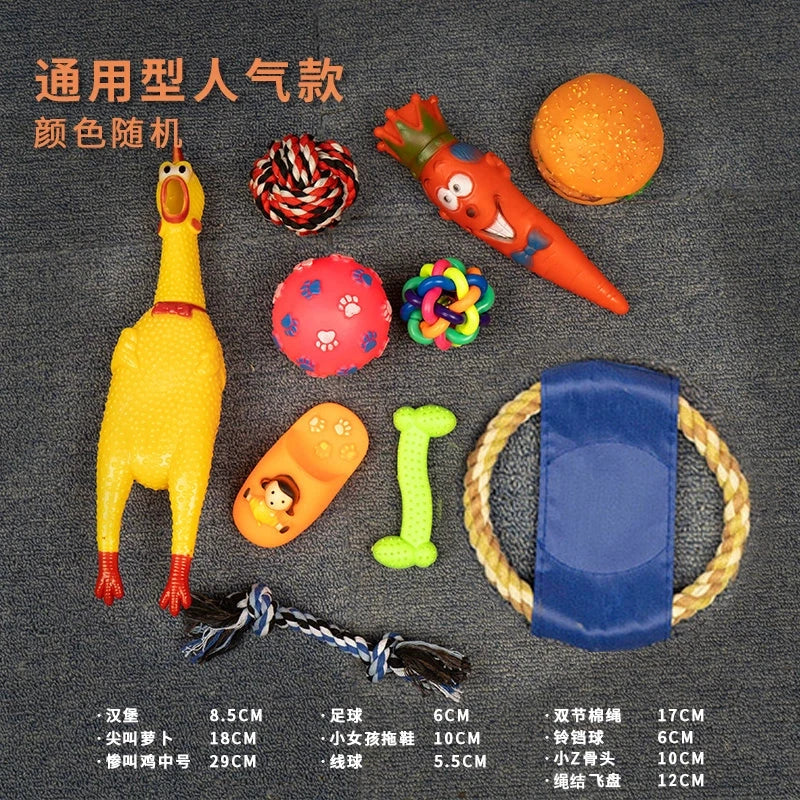 Toy Ball TeddyToy Ball TeddyToy Ball TeddyToy Ball TeddyToy Ball Teddy