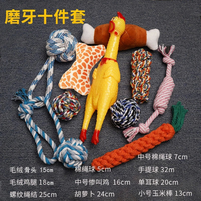 Toy Ball TeddyToy Ball TeddyToy Ball TeddyToy Ball TeddyToy Ball Teddy