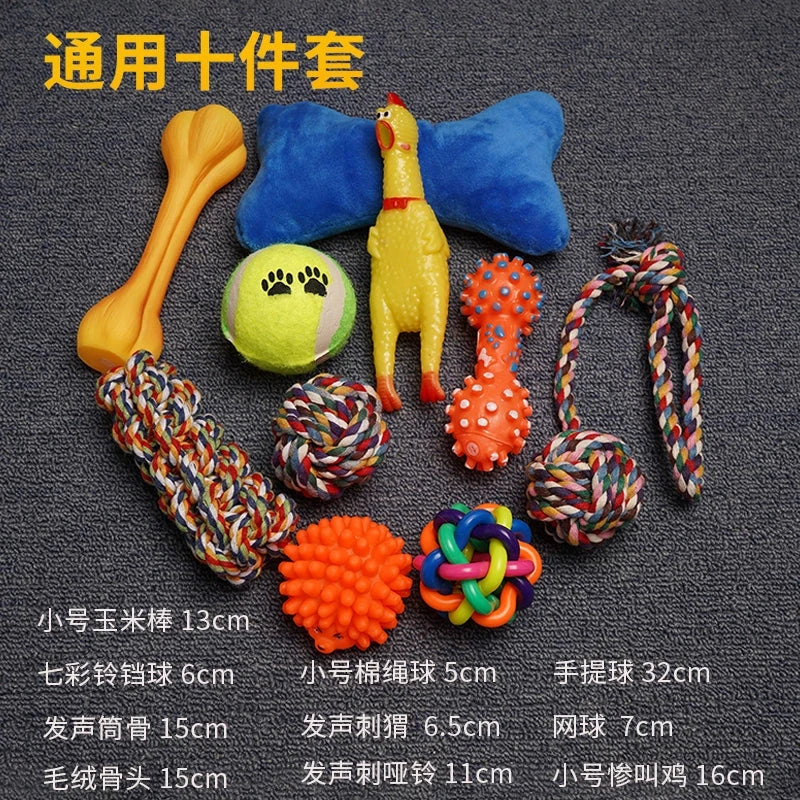 Toy Ball TeddyToy Ball TeddyToy Ball TeddyToy Ball TeddyToy Ball Teddy