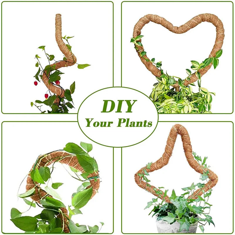 Plant Climbing Pole Indoor Plant Creeper