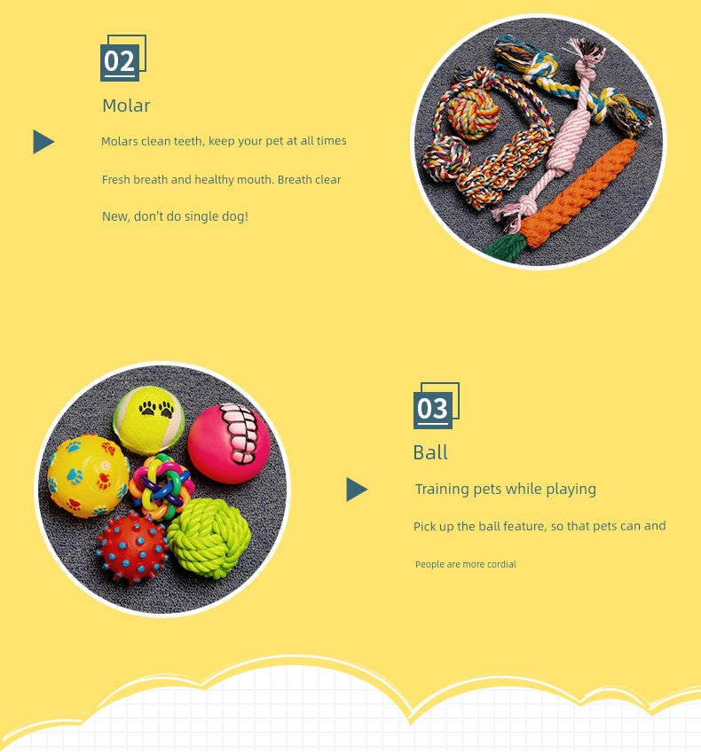 Toy Ball TeddyToy Ball TeddyToy Ball TeddyToy Ball TeddyToy Ball Teddy