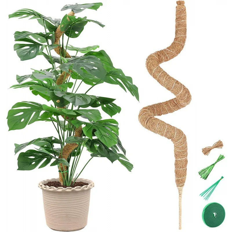 Plant Climbing Pole Indoor Plant Creeper