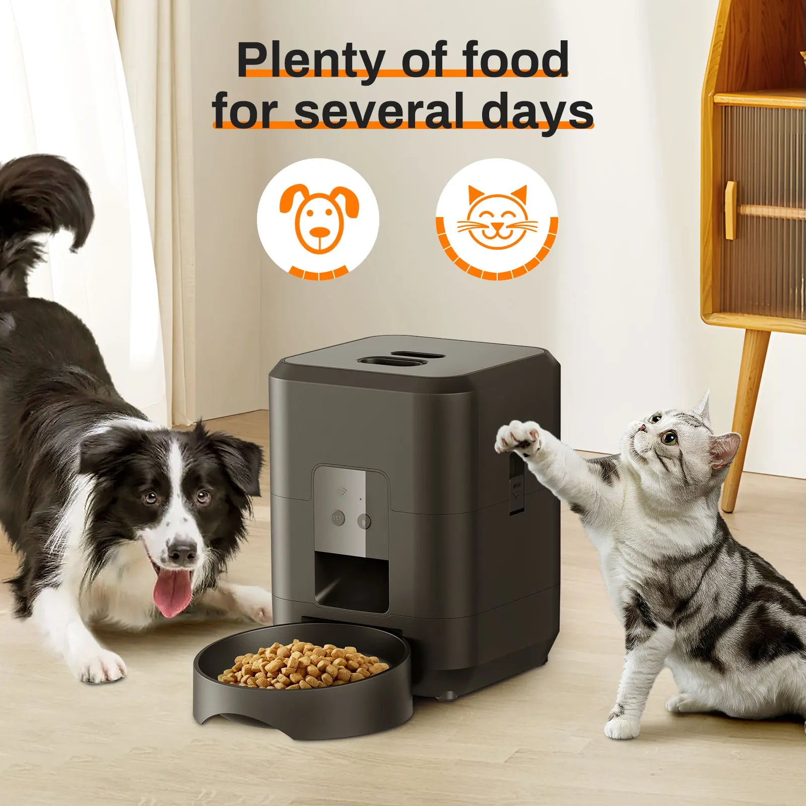 automatic pet feed dispenserautomatic pet feed dispenserautomatic pet