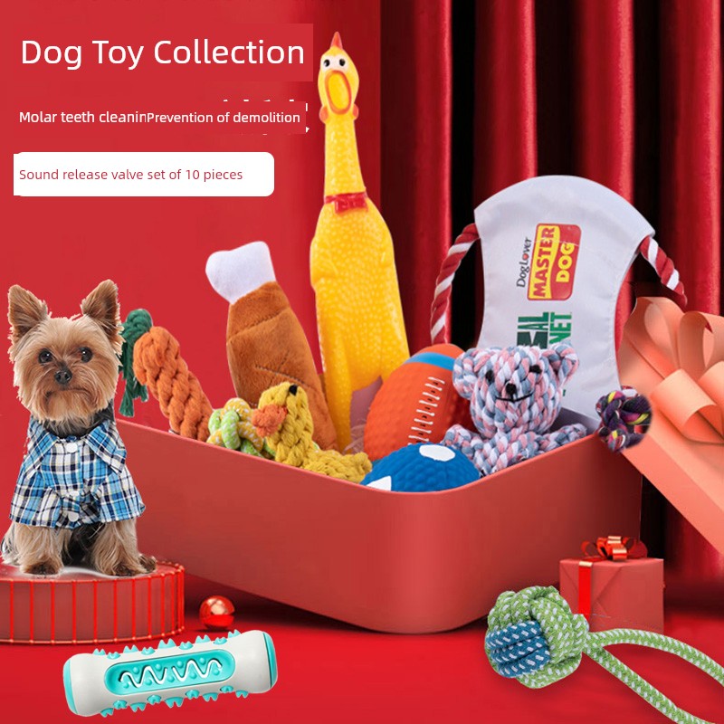 Toy Ball TeddyToy Ball TeddyToy Ball TeddyToy Ball TeddyToy Ball Teddy