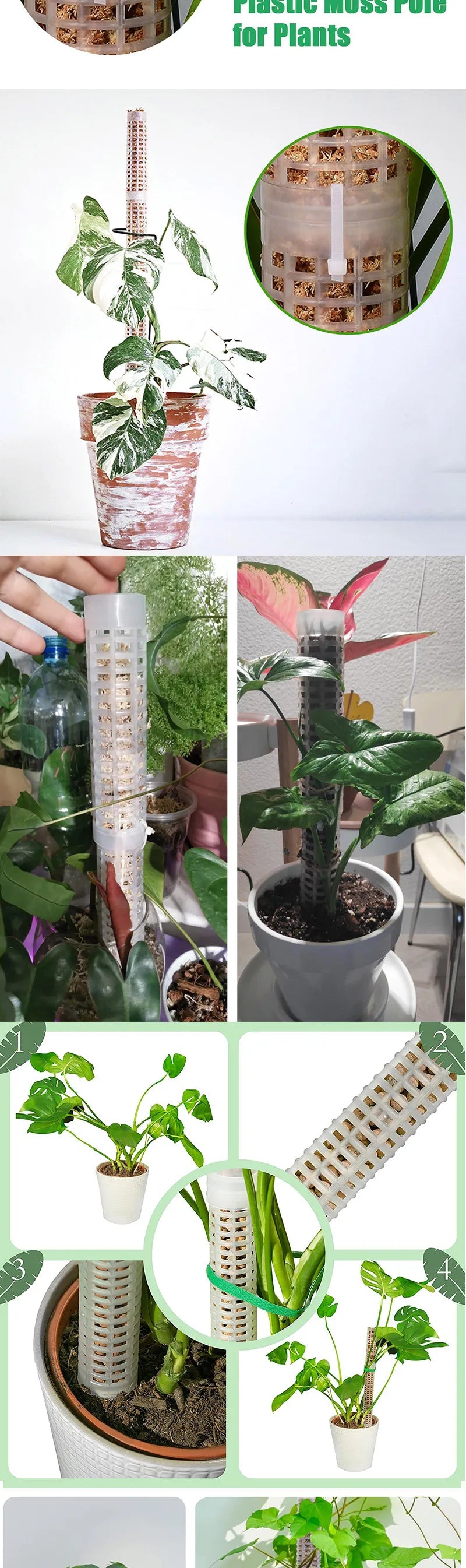 Plant Climbing Pole Indoor Plant Creeper