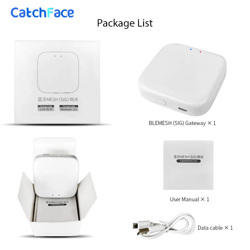 Smart Door Lock Electronic with Alexa Google Home