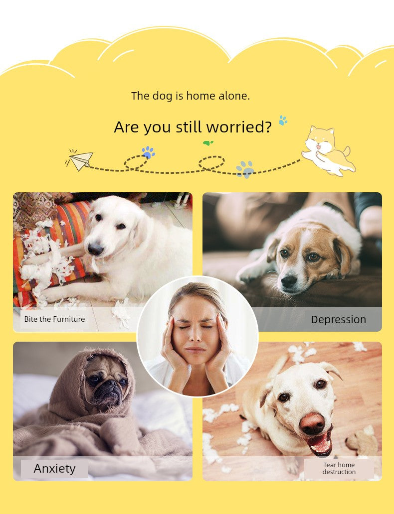 Toy Ball TeddyToy Ball TeddyToy Ball TeddyToy Ball TeddyToy Ball Teddy