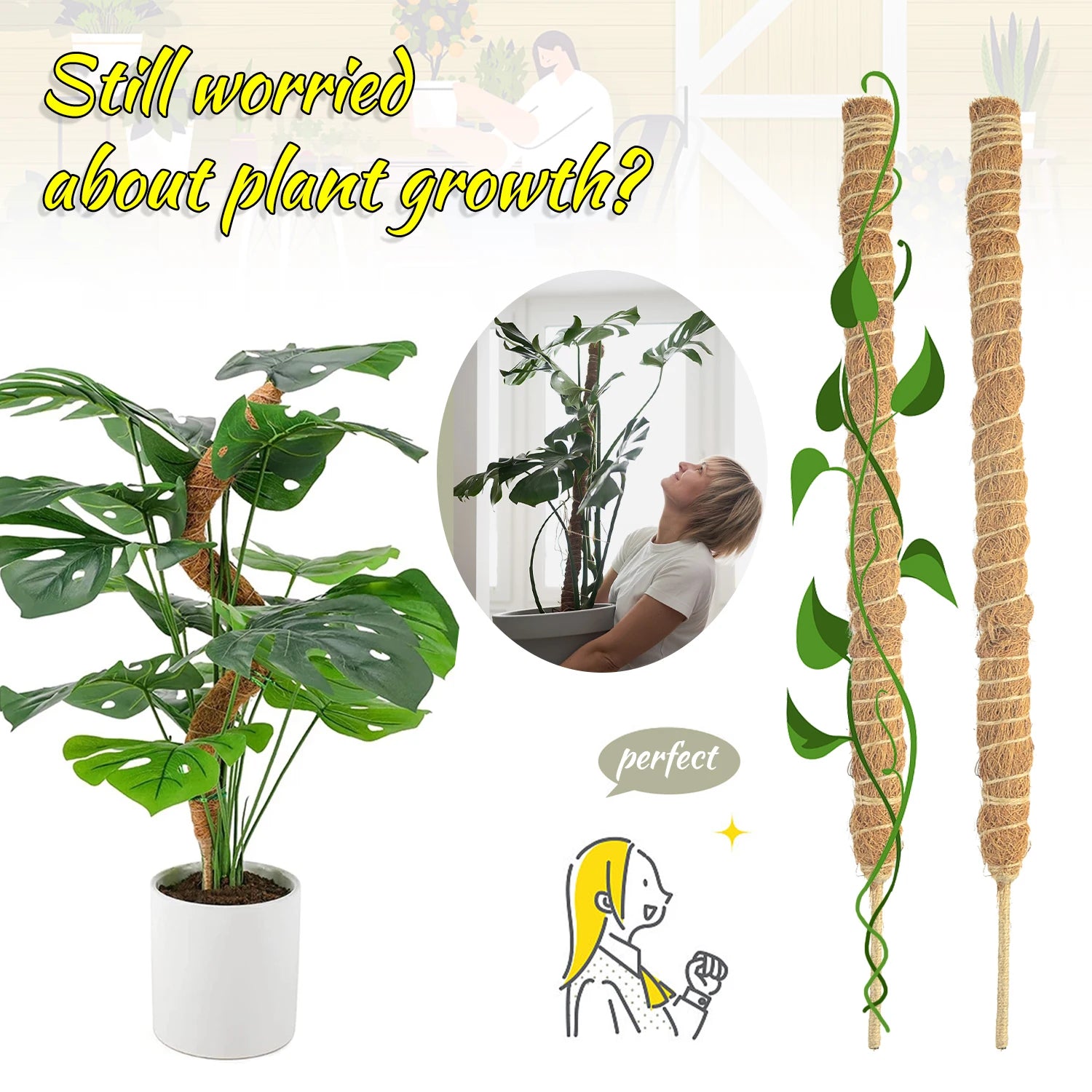 Plant Climbing Pole Indoor Plant Creeper