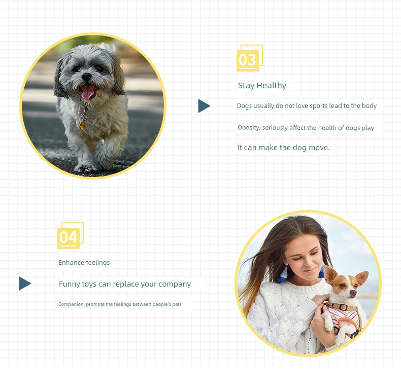 Toy Ball TeddyToy Ball TeddyToy Ball TeddyToy Ball TeddyToy Ball Teddy