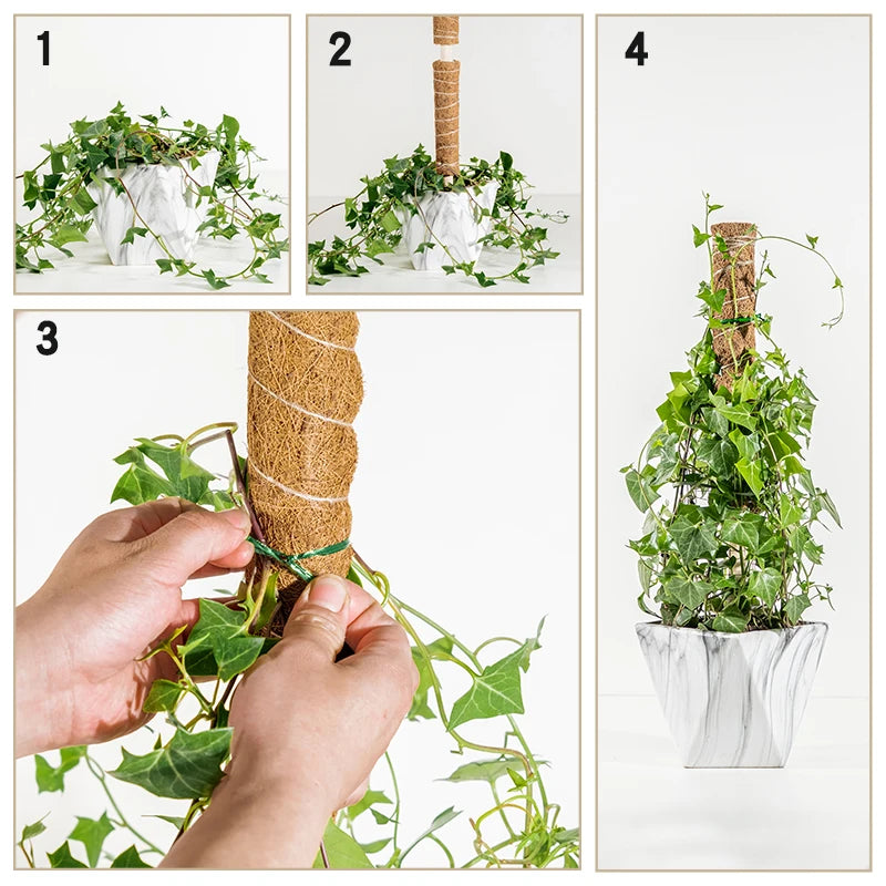 Plant Climbing Pole Indoor Plant Creeper