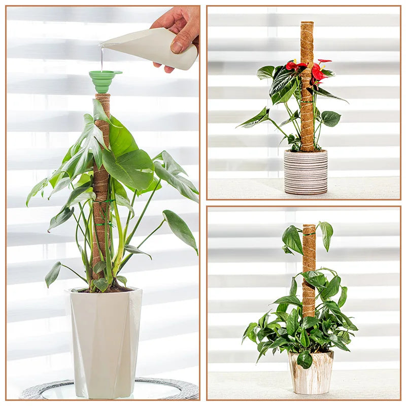 Plant Climbing Pole Indoor Plant Creeper