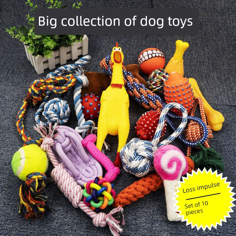 Toy Ball TeddyToy Ball TeddyToy Ball TeddyToy Ball TeddyToy Ball Teddy