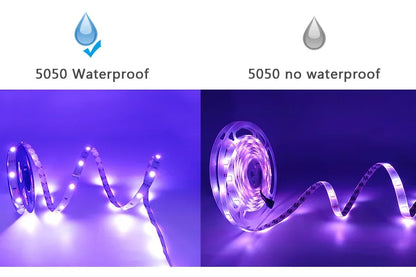 LED STRIP LIGHTS