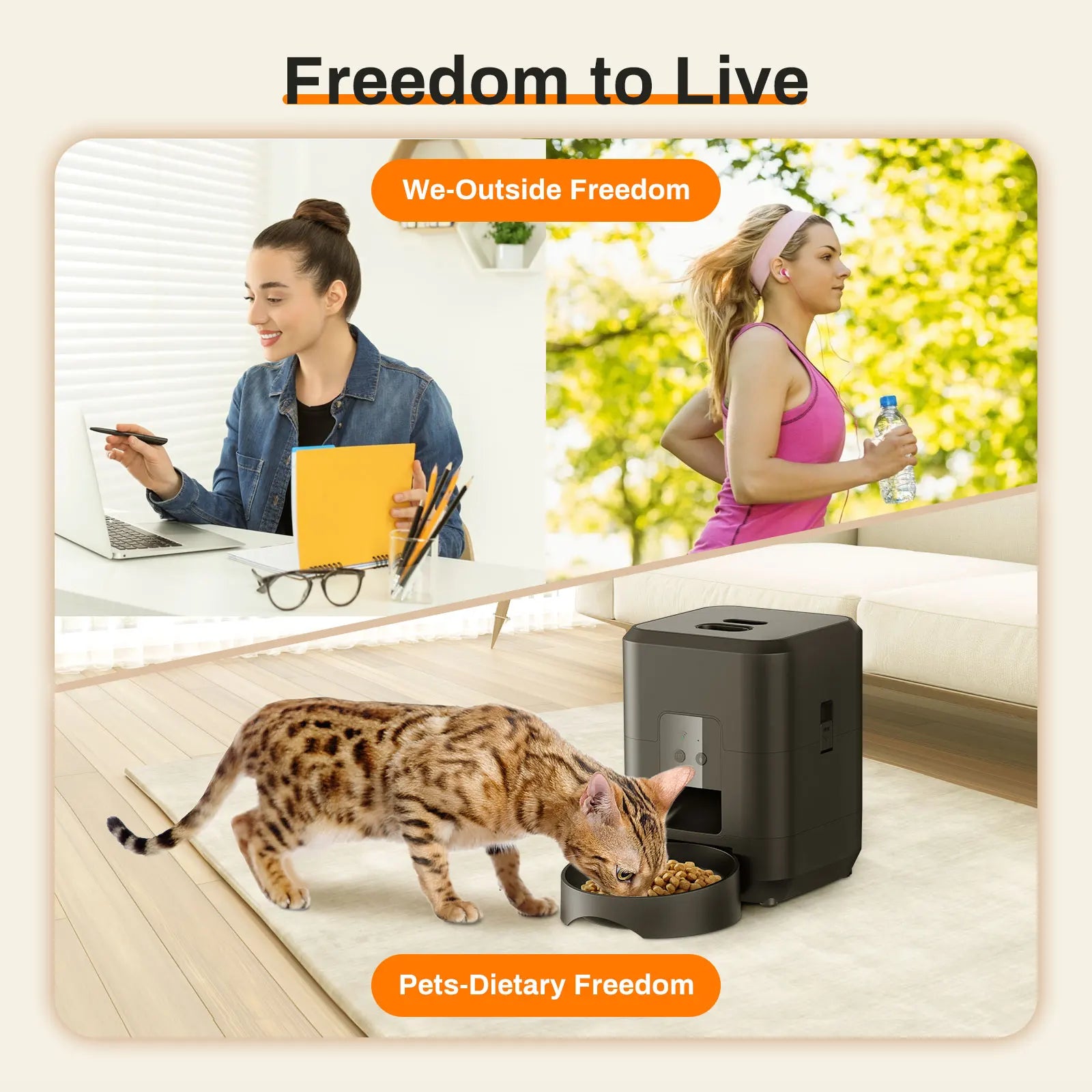 automatic pet feed dispenserautomatic pet feed dispenserautomatic pet 