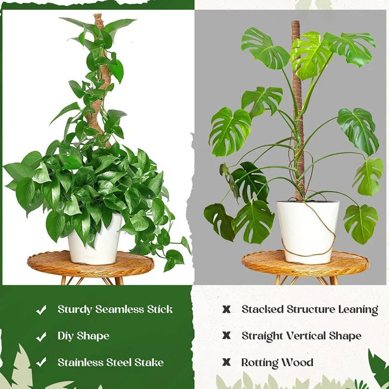 Plant Climbing Pole Indoor Plant Creeper