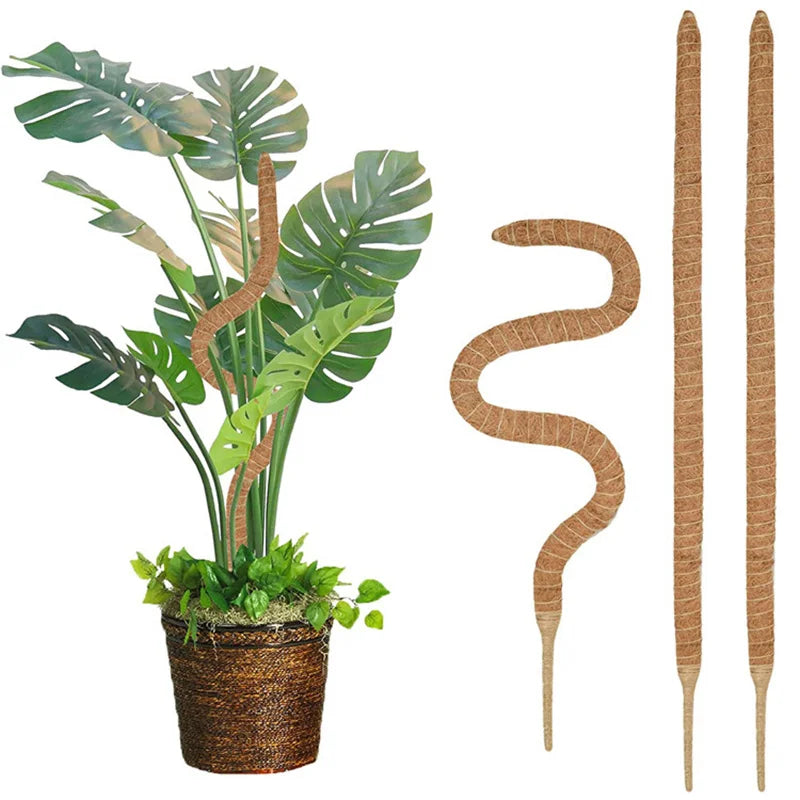 Plant Climbing Pole Indoor Plant Creeper