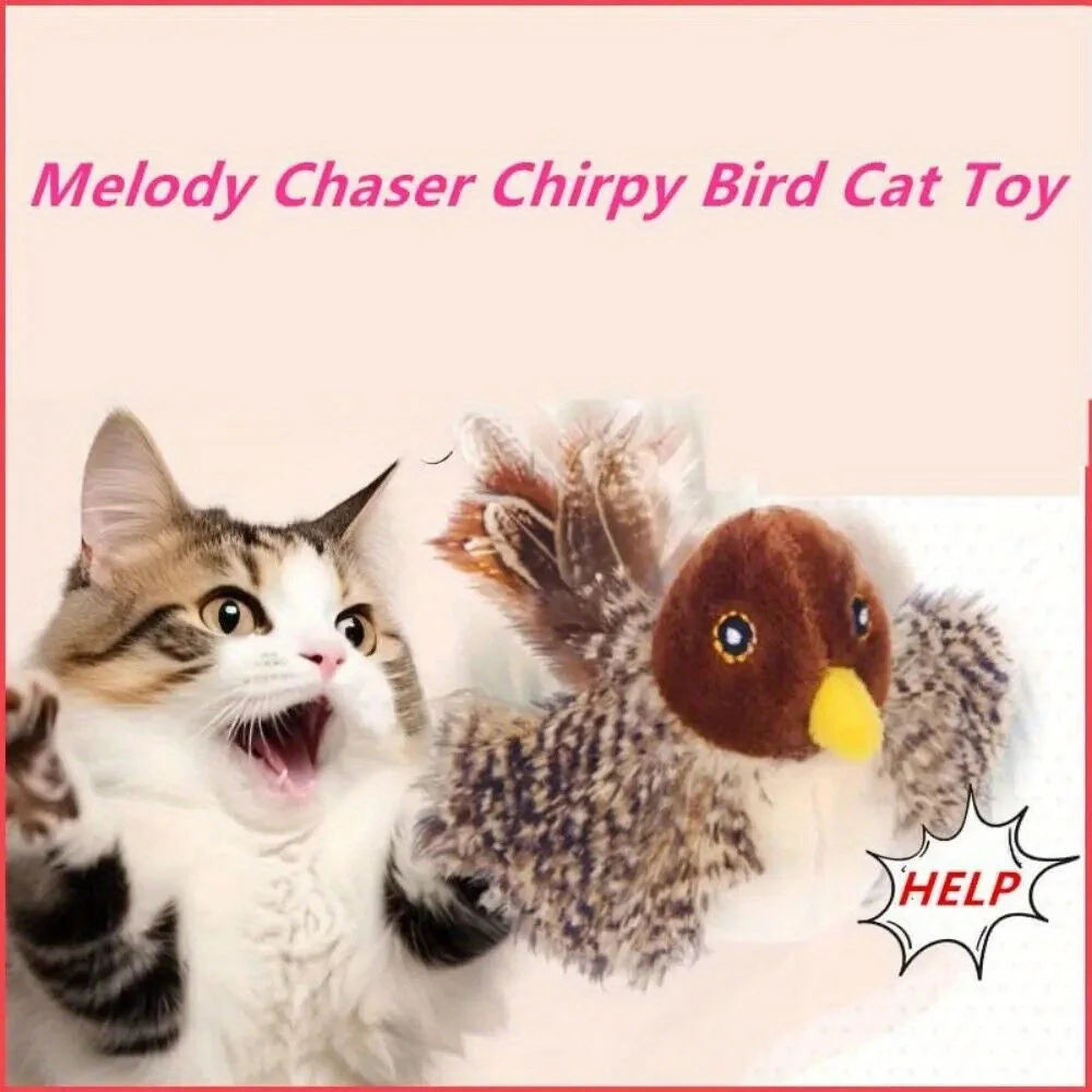 Interactive Bird Cat Toy